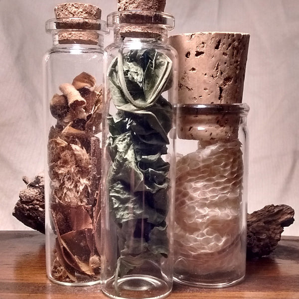 Herb Sampler Packs