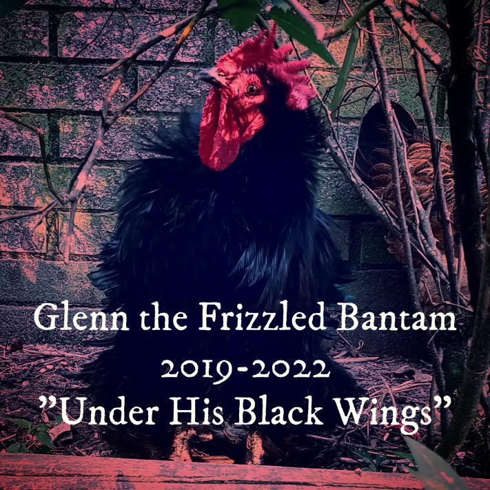 Farewell, Glenn